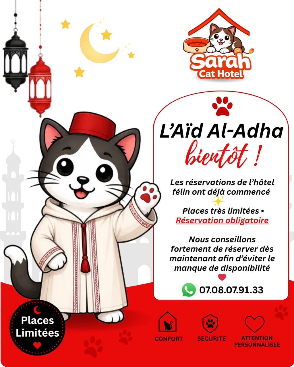 Tarif été Sarah Cat Hotel