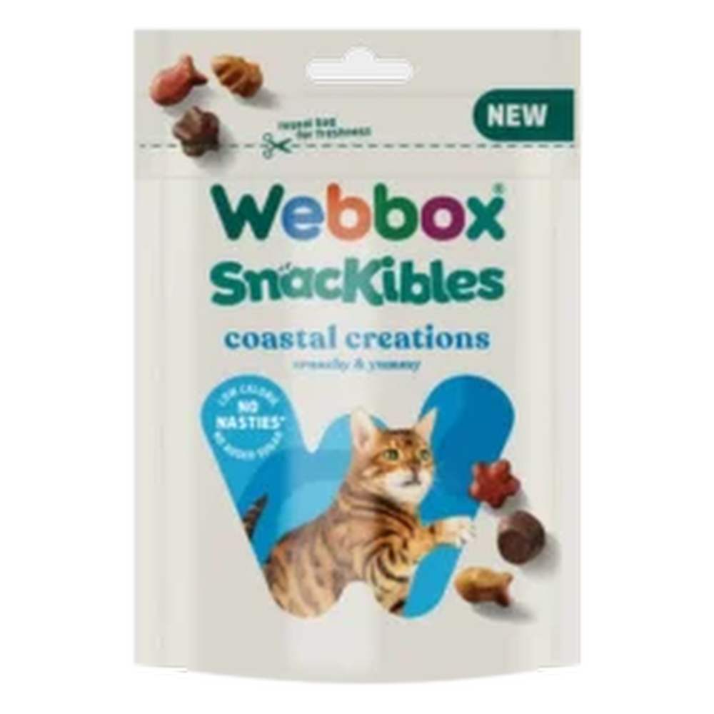 Image preview.webp