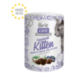 bcc superfruits kitty.png
