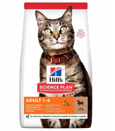 hills chat adulte a l agneau