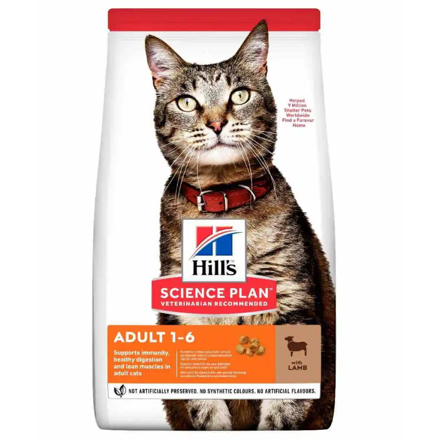 hills chat adulte a l agneau hills chat adulte a l agneau