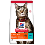 hills chat adulte au thon