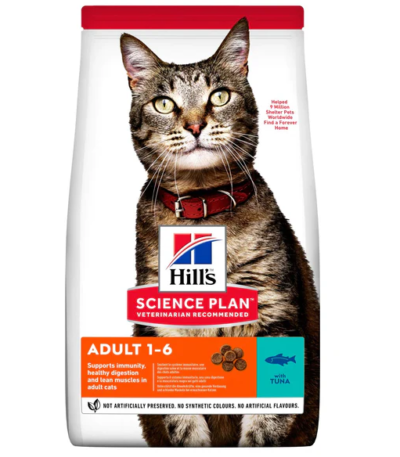 hills chat adulte au thon