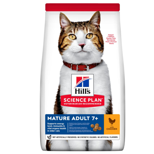 hills chat adulte mature 7 au poulet