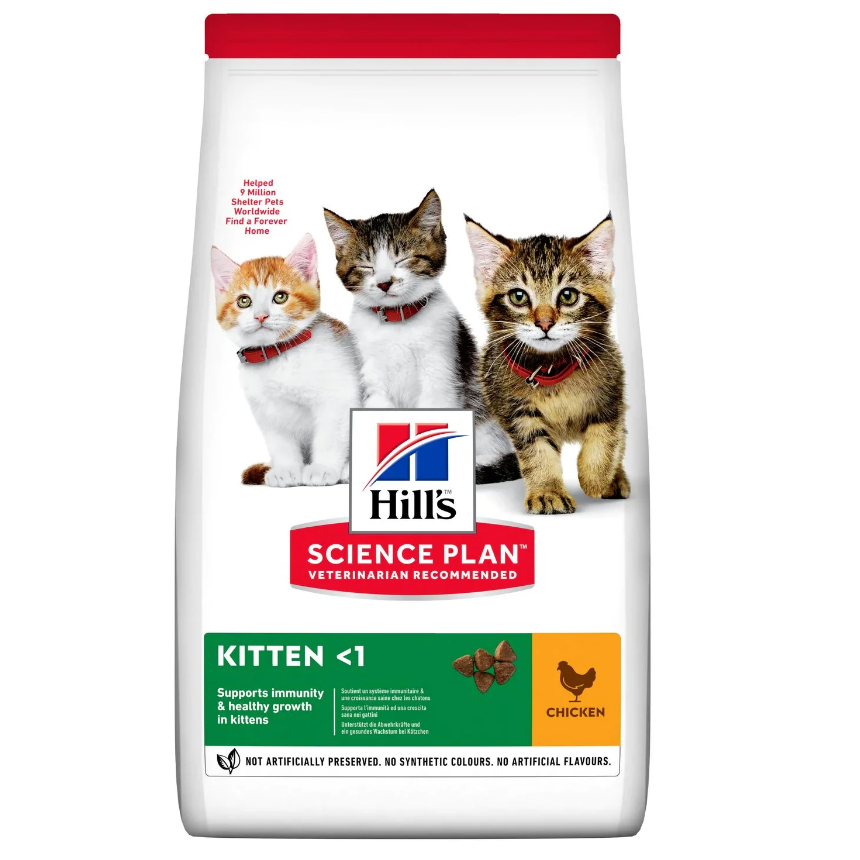 hills chaton au poulet