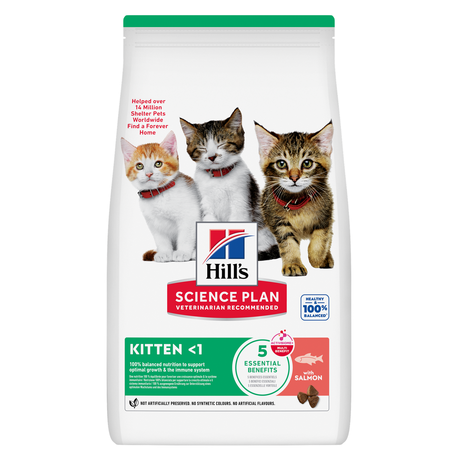 hills chaton au saumon hills chaton au saumon