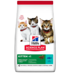 hills chaton au thon