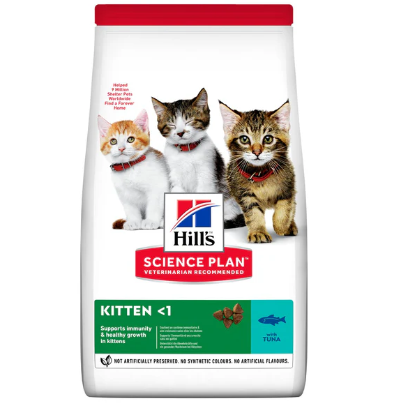 hills chaton au thon