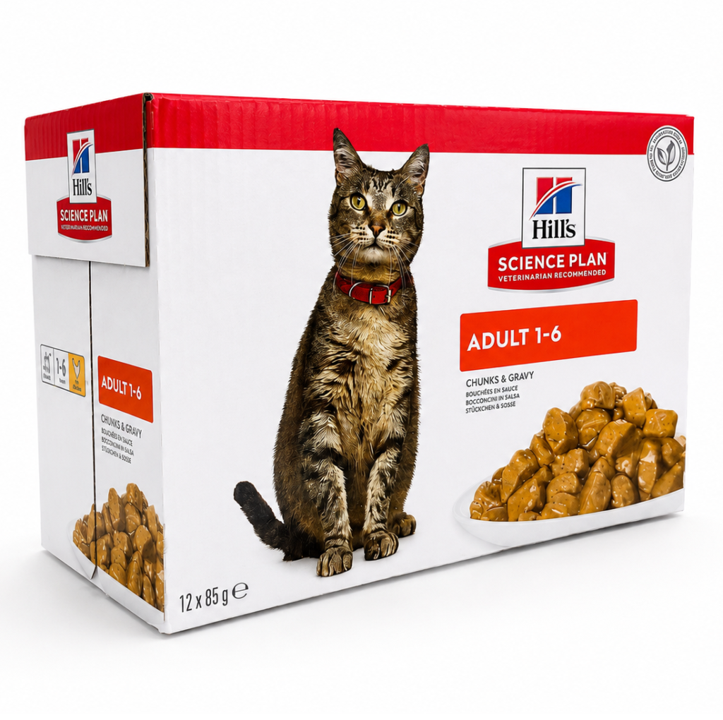 hills patee pour chat adulte au poulet 12x85g