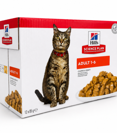 hills patee pour chat adulte au poulet 12x85g