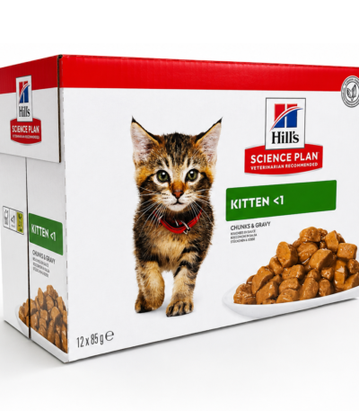 hills patee pour chaton au poulet 12x85g