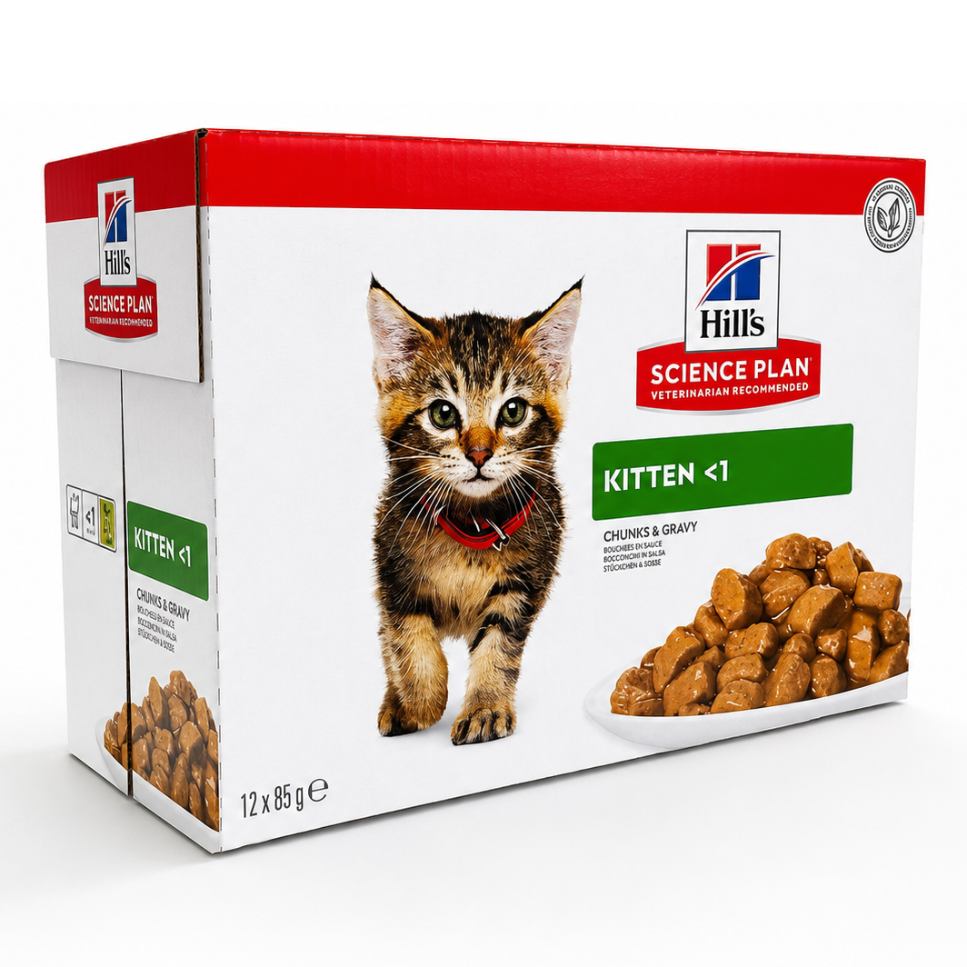 hills patee pour chaton au poulet 12x85g hills patee pour chaton au poulet 12x85g