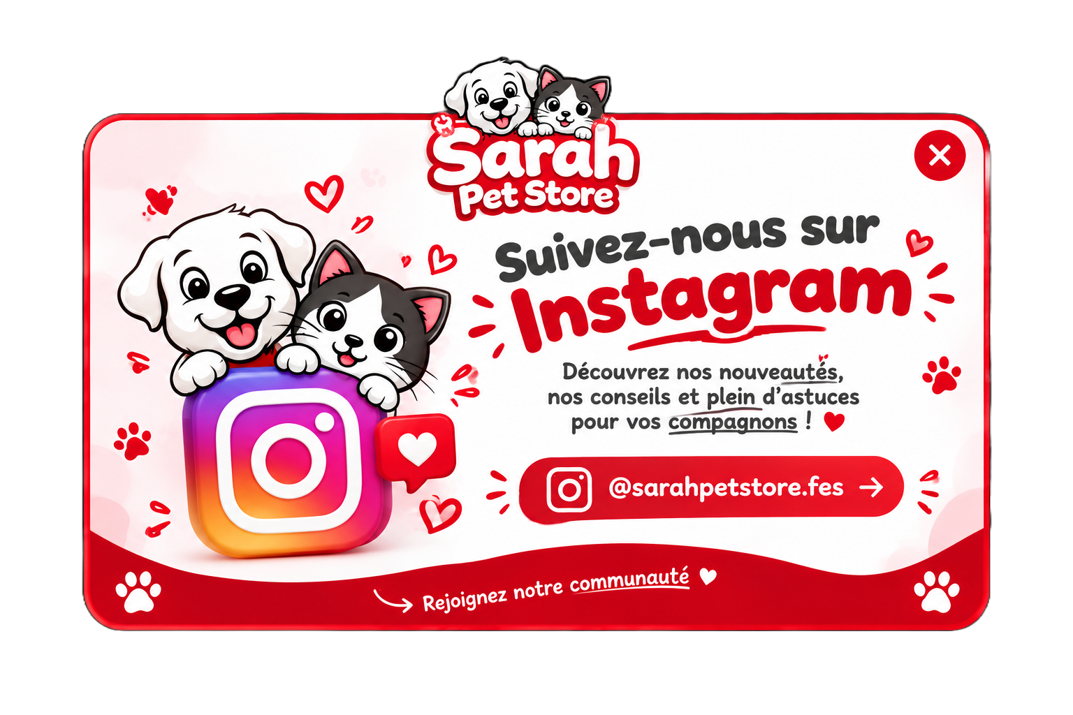 Suivez Sarah Pet Store sur Instagram
