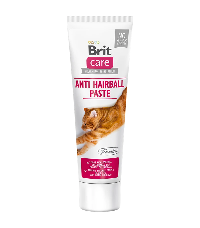 paste anti hairball v2