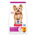 dog004 v2