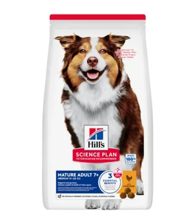 dog019 v2