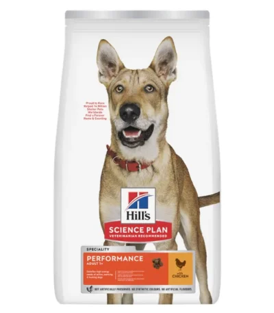 dog021 v2