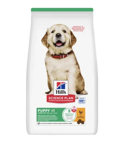 dog024 v2