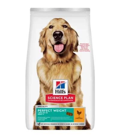 dog028 v2
