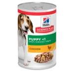 dog038 v2